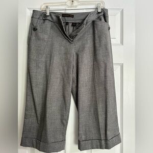 The Limited Capri Dress Pants